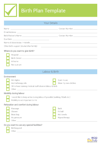 47 Printable Birth Plan Templates [Birth Plan Checklist] Template 