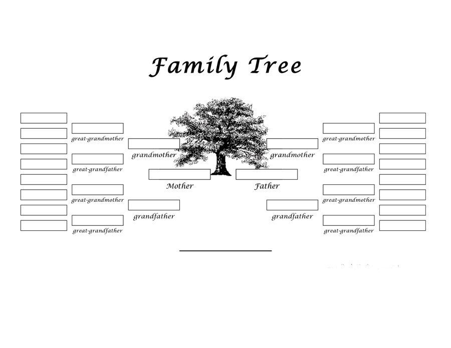 Family Tree Template by yayasya | GraphicRiver