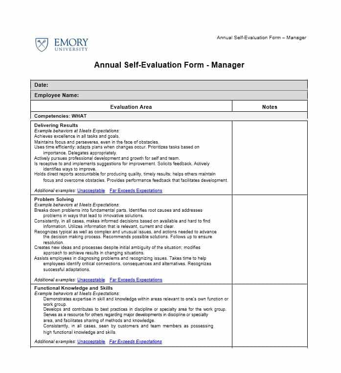 What To Write In Self Evaluation Sample