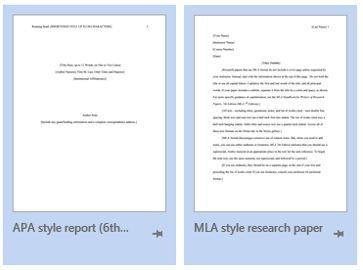 APA style report (6th edition)