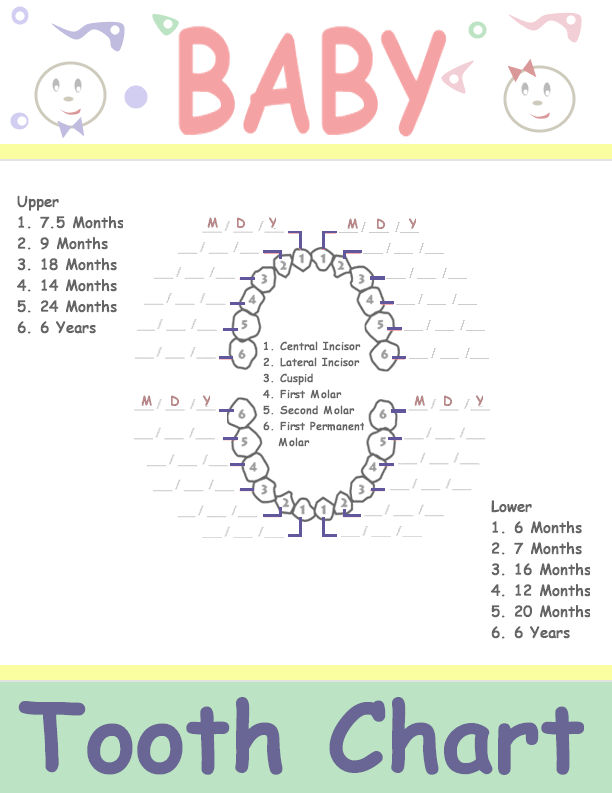 Baby Teeth Chart Letters Image Search Results | Kids | Pinterest 