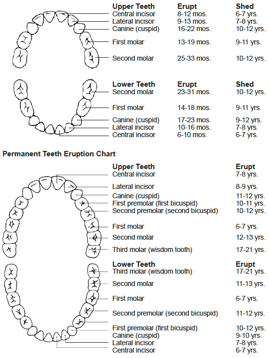 teeth letters and numbers Google Search | Dental | Pinterest 