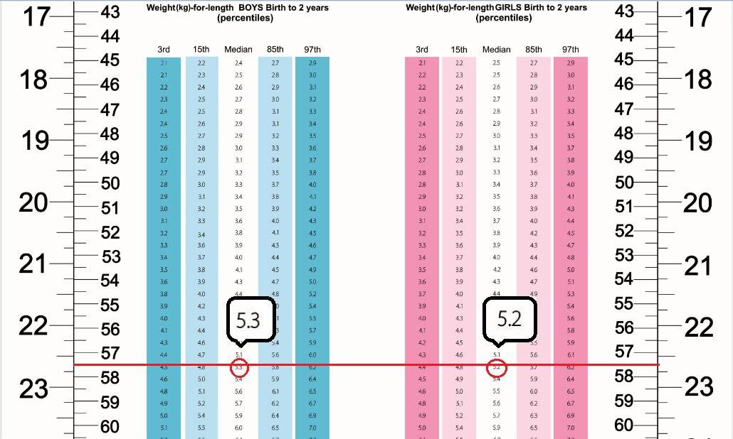 Baby Weight Chart Business Mentor