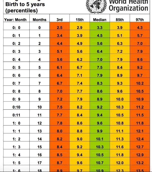 Baby Weight Chart Business Mentor