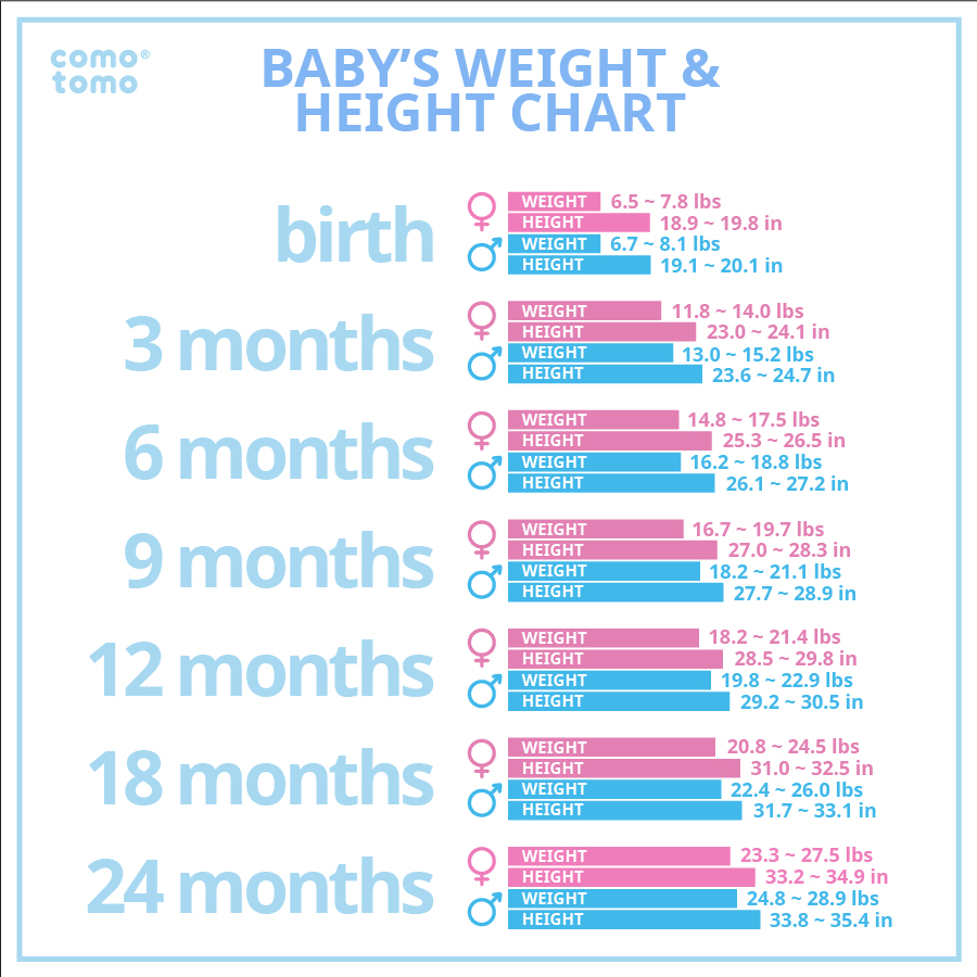 height and weight chart for babies   Into.anysearch.co