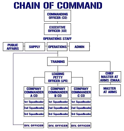 Chain of command chart template 8113550   1cashing.info