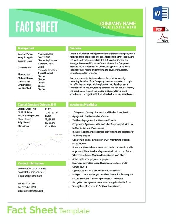sample company fact sheet   Romeo.landinez.co