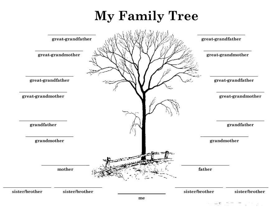 29 Images of Fill In The Blank Family Tree Template With Siblings 