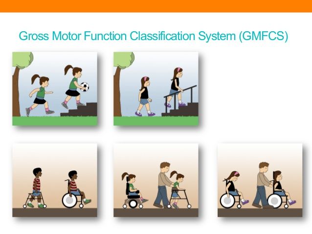 Gross Motor Functioning Classification System (GMFCS) descriptors 