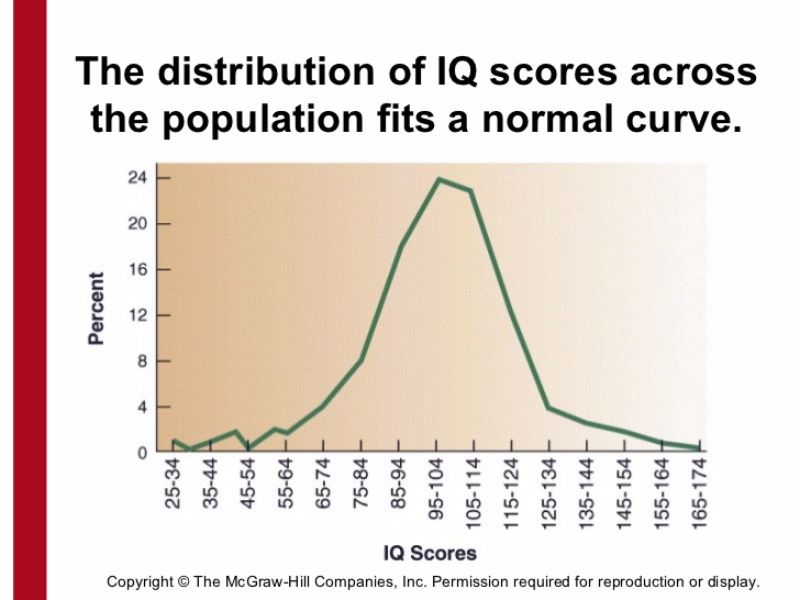 IQ development chart | Dust Piggies