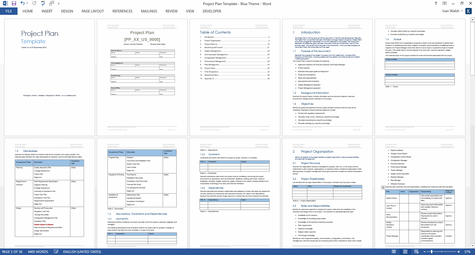 microsoft word project plan template   Ecza.solinf.co