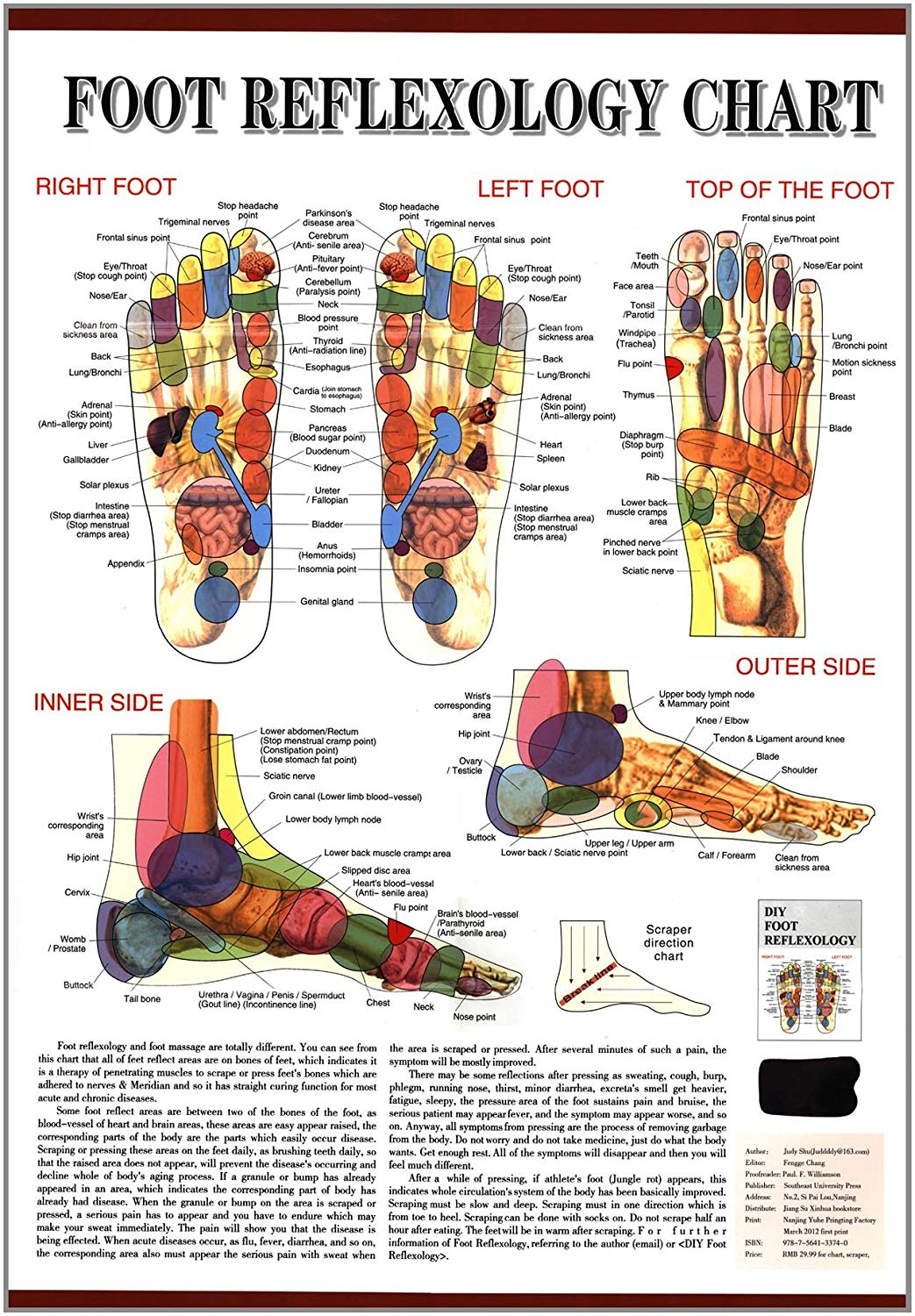 Foot Reflexology Chart Laminated: Science Kits: Amazon.