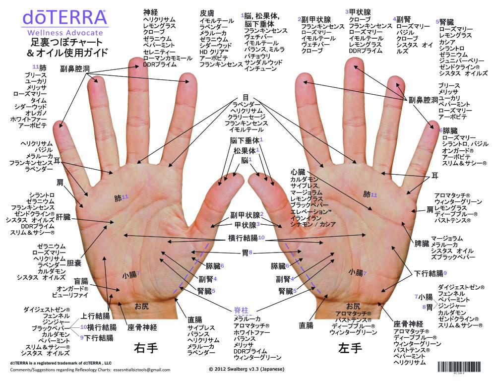100# Gloss Hand and Foot Reflexology Chart   Japanese