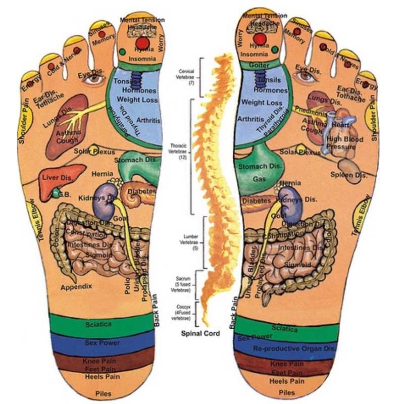 Reflexology Foot Map — Hitchin Reflexology