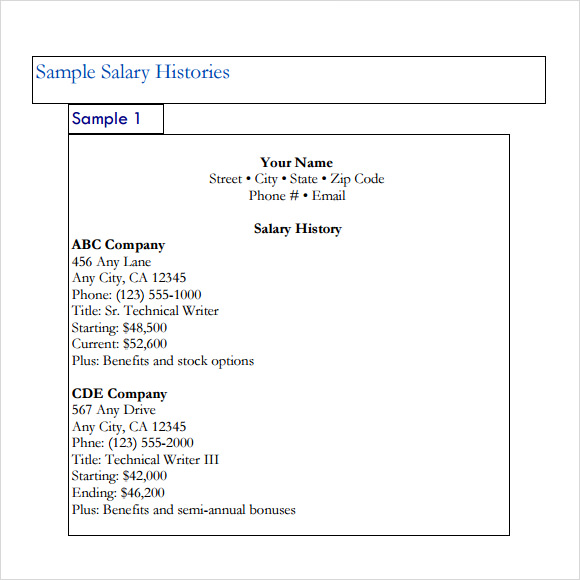 Salary History Template Business Mentor