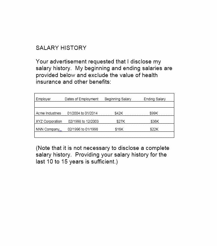 Salary History Template Business Mentor