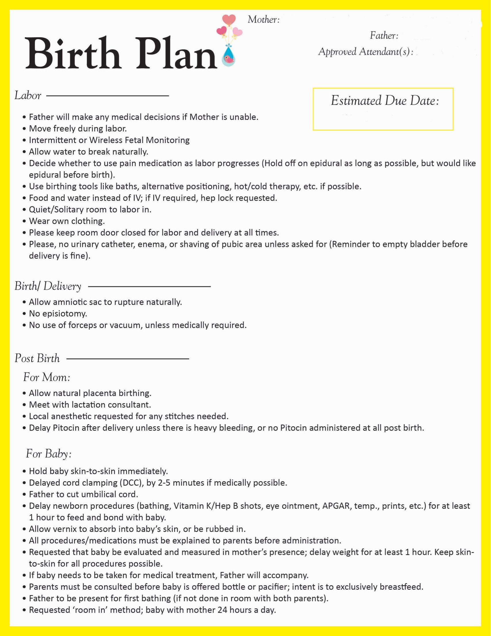 Birth Plan Template   20+ Download Free Documents in PDF, Word 