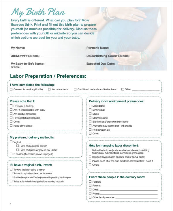 Birth Plan Template | Business Mentor