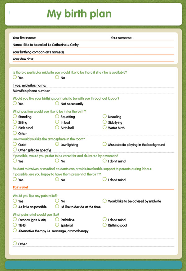 Birth Plan Template Save.btsa.co Within Birth Plan Template 