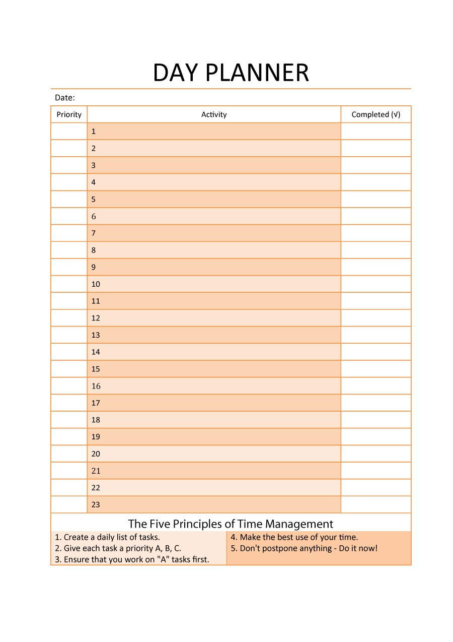 Day planner Printable, Daily Planner Editable, Daily Organizer 