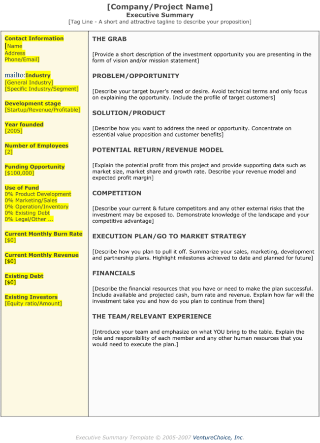5+ Executive Summary Templates for Word, PDF and PPT