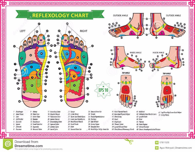 Head to Feet :: Reflexology foot chart