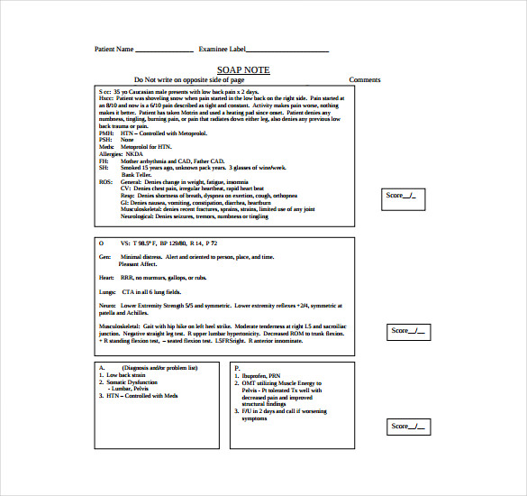 11+ Soap Note Templates – Free Sample, Example, Format Download 