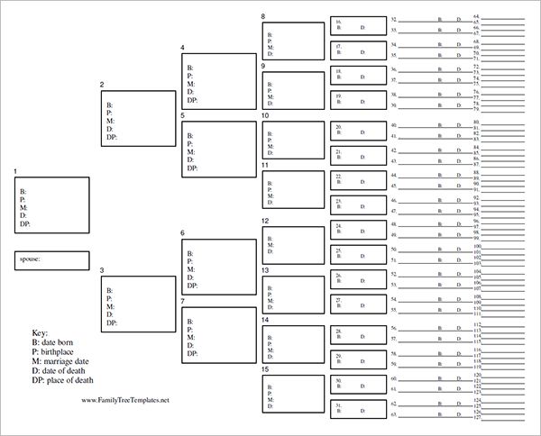 50+ Free Family Tree Templates (Word, Excel, PDF) Template Lab