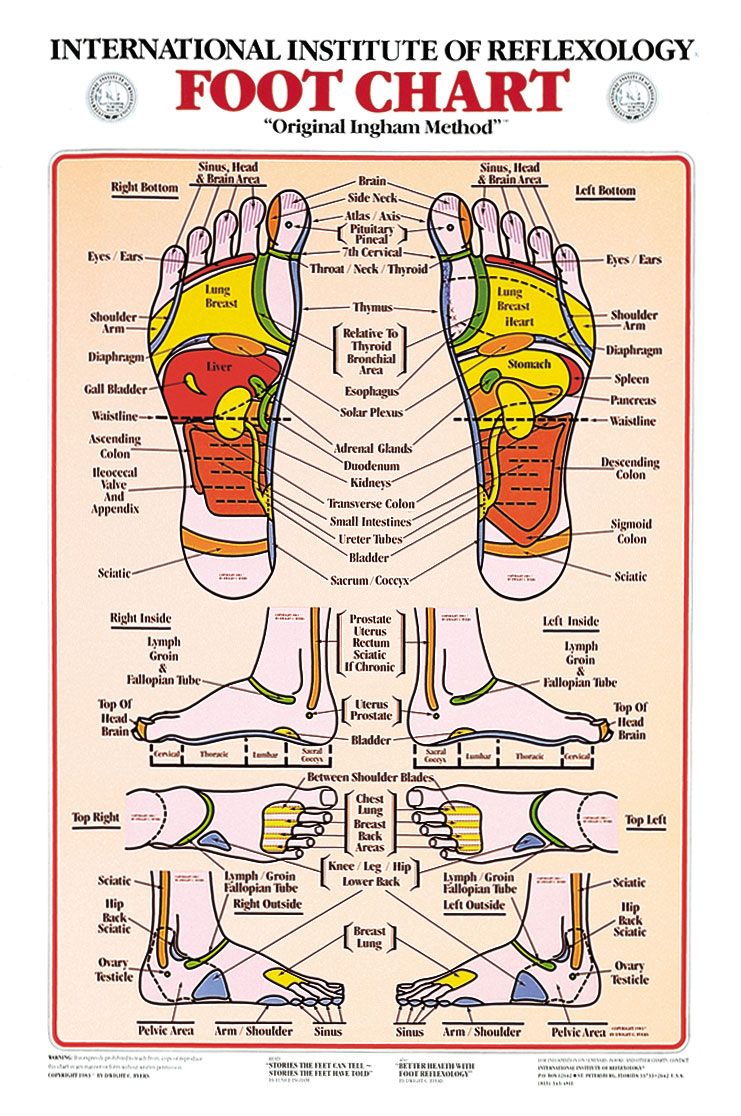 Foot Reflexology Chart Charts | Foot Chart 17x21