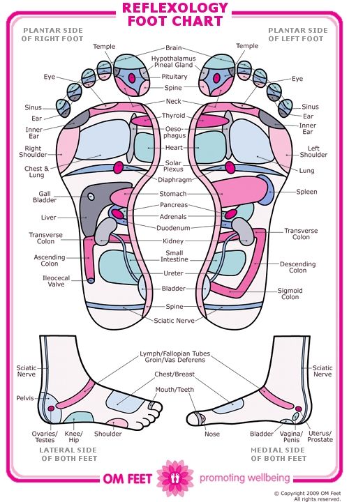 Free Foot Reflexology Chart