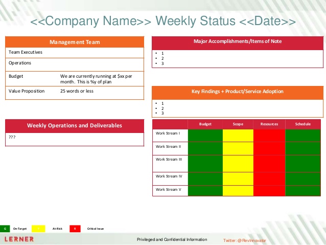 Executive Status Report Template